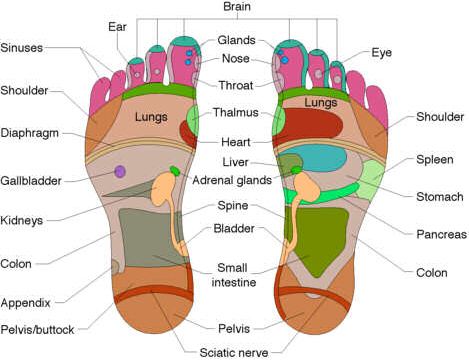 Reflexology Fertility Foot Chart